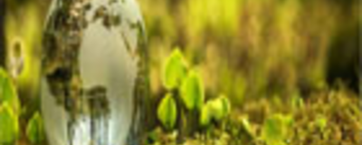 Environment Management