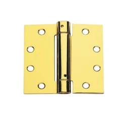 Brass Spring Hinges