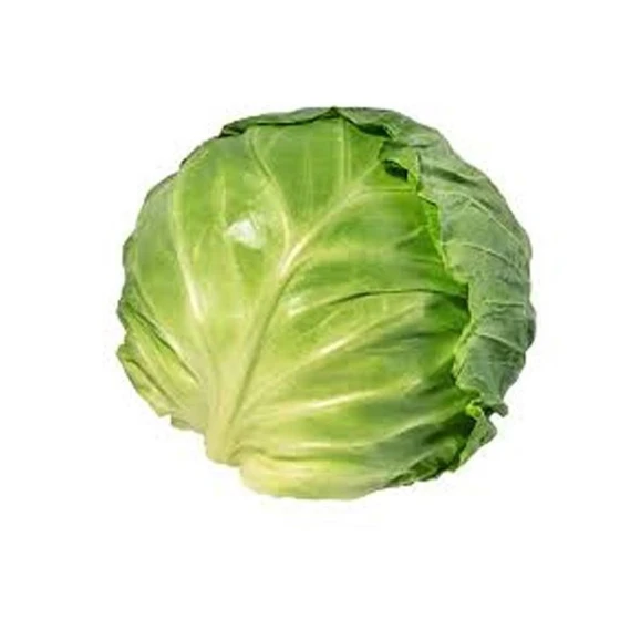 cabbage.webp