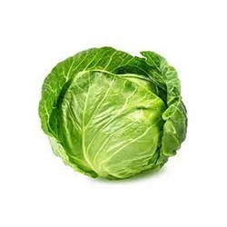Top Notch Quality Cabbage Price Per Kg Super Affordable