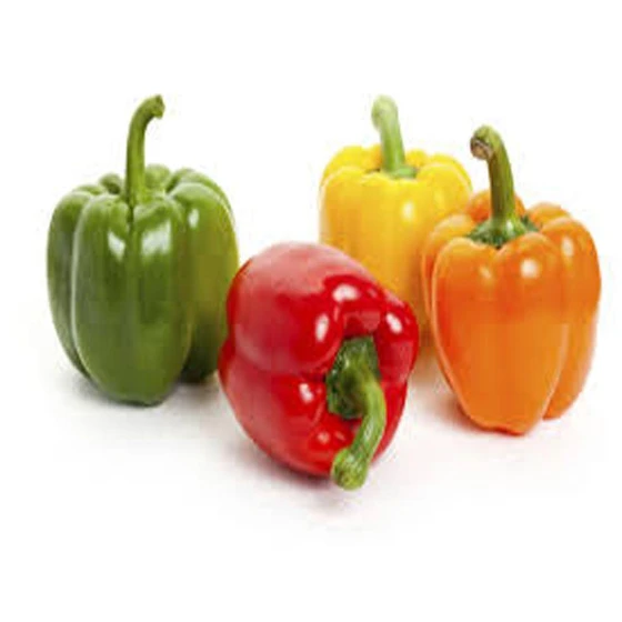capsicum-price.webp