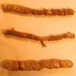 Lakhdana Seed lac, Brand Welloma