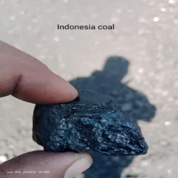 Black Indonesian 10 to 25 MM Coal, Place Of Origin Indonesia