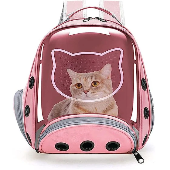 pet-carrier-basket.webp