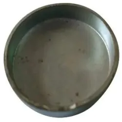 Scripts Writing Lyrics