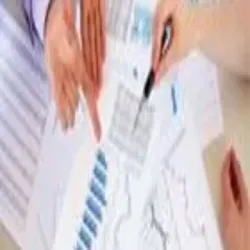 Preparation Of Project Report, Language English