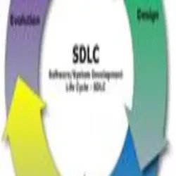 Custom Services, Languages Supported English