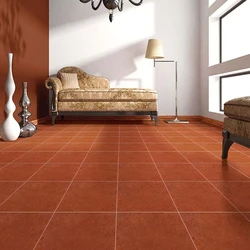 Terracotta Floor Tiles