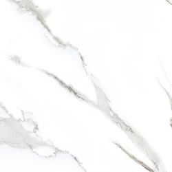 Polished Glazed Vitrified Tiles 