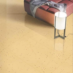 Double-Charged Vitrified Tiles