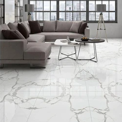 Vitrified Imported Living Room Floor Tiles