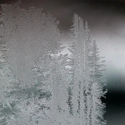 Frosted Glass Natural 