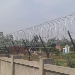 Fencing Concertina Wire