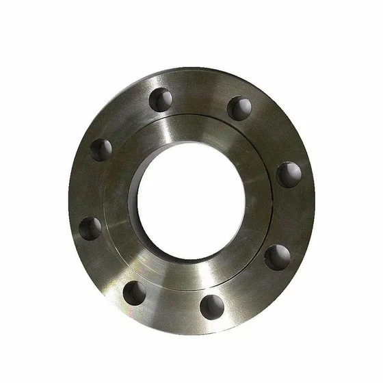 industrial-plate-flanges-2.webp