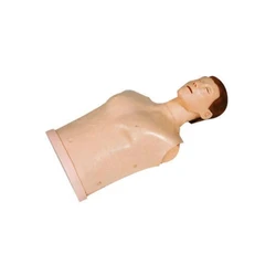 CPR Training Manikin