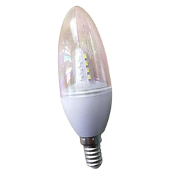 Oval Light Bulb
