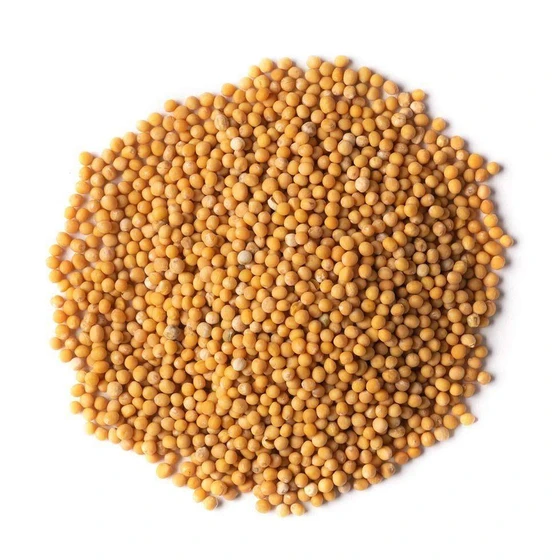 yellow-mustard-seed-2.webp