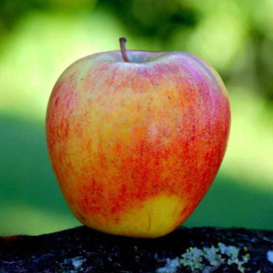 natural-organic-apple-fruit-2.webp