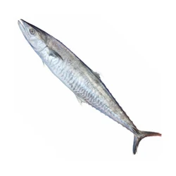 Frozen Whole Seer Fish