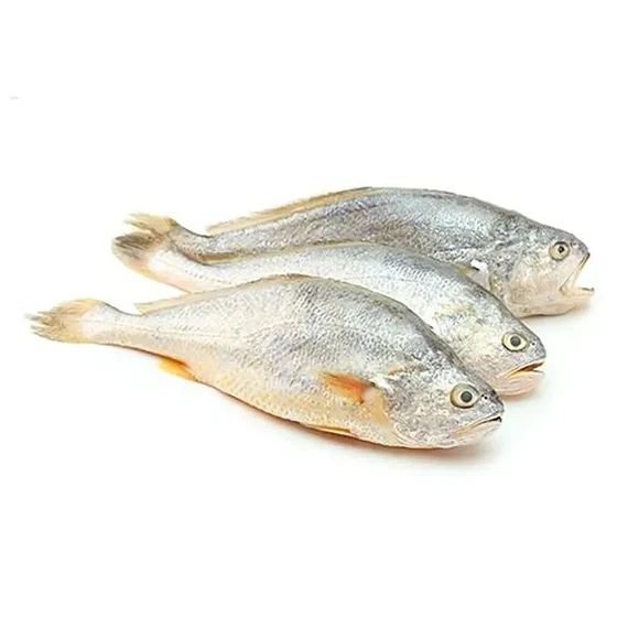 whole-croaker-fish-1.webp