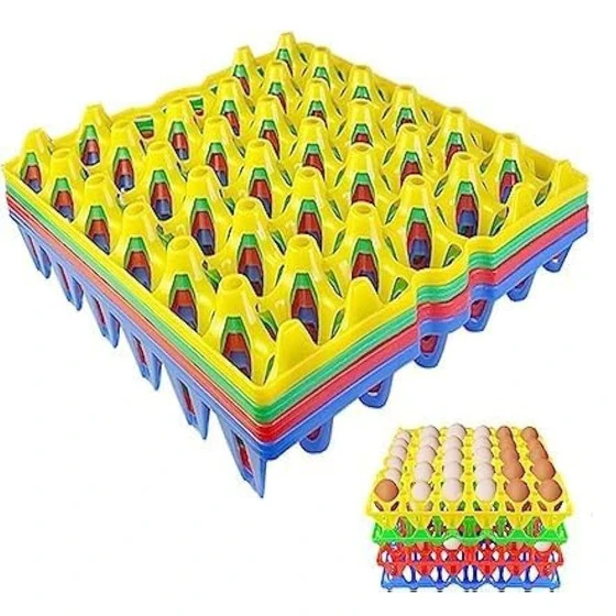 plastic-layer-egg-tray-2.webp