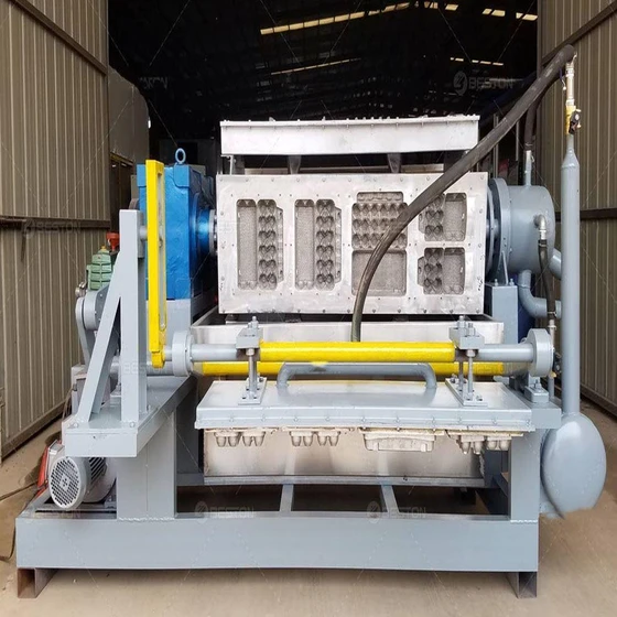 hydraulic-egg-tray-machines-2.webp
