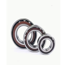 Ceramic Tpi Bearings