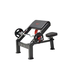 Preacher Curl Bench