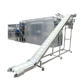 Automatic Industrial Conveyor