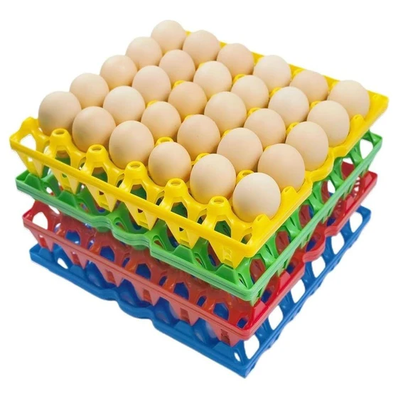 plastic-egg-tray-1.webp