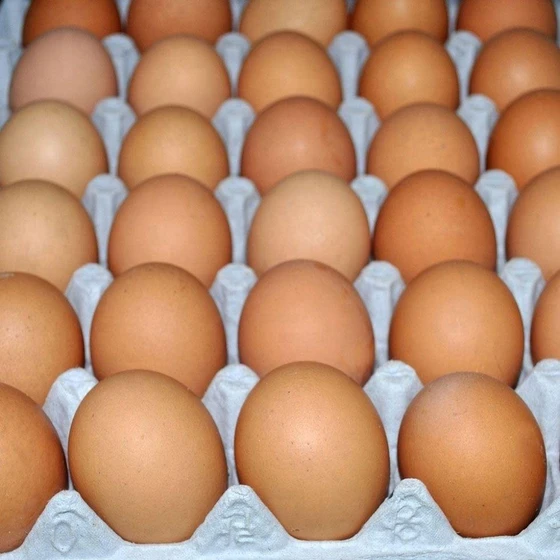 chicken-table-eggs-1.webp