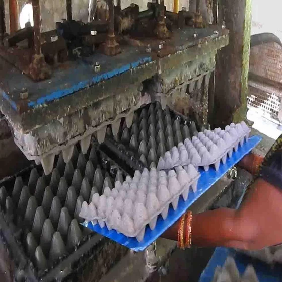 egg-tray-machine-2.webp