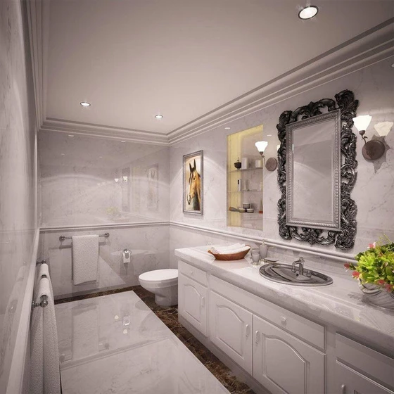 executive-toilet-1.webp