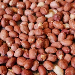 Roasted Natural Peanuts