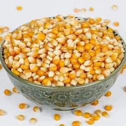 Yellow Corn Seeds