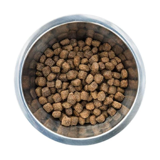 dog-food-2.webp