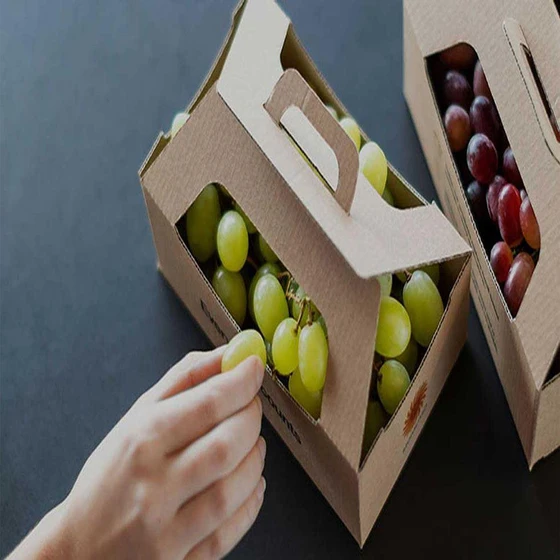 fruits-packaging-box-2.webp