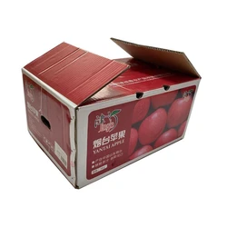 Fruit Packaging Box