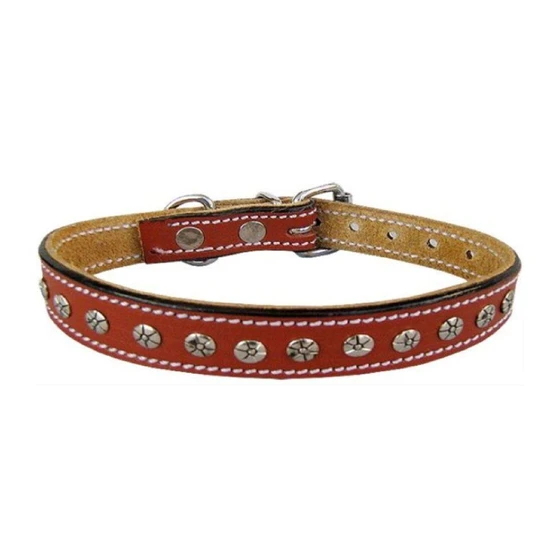 dog-leather-collar-1.webp