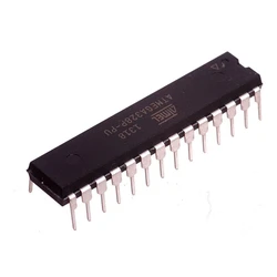 Microcontroller Integrated Circuit
