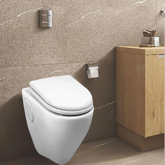 wall-hung-toilet-1.webp