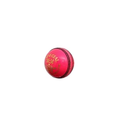Test Cricket Ball
