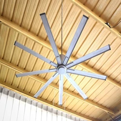 Big Ceiling Fan