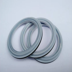 PTFE Seals Ring