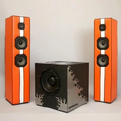 Customizable Audio System