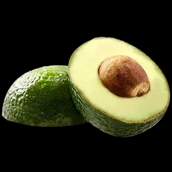 Oval Fresh Avocado