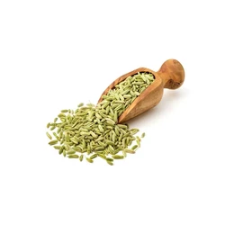 Fennel Organic Seeds