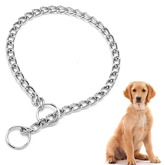 silver-dog-chain-2.webp