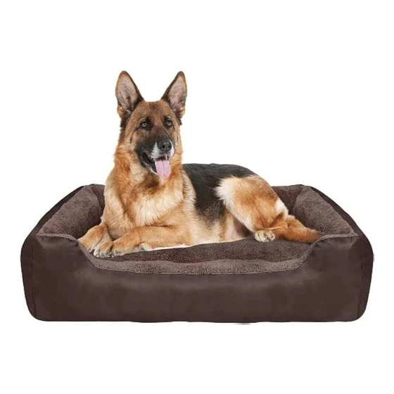 large-dog-bed-1.webp
