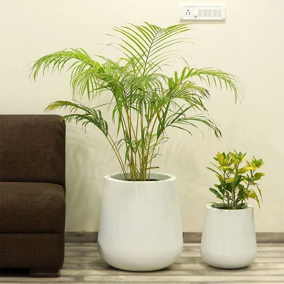 fiberglass-planter-pots-2.webp